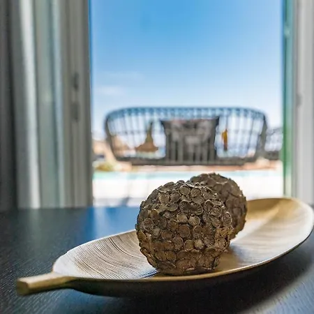 Dioni Mykonos 别墅 帕瑞加