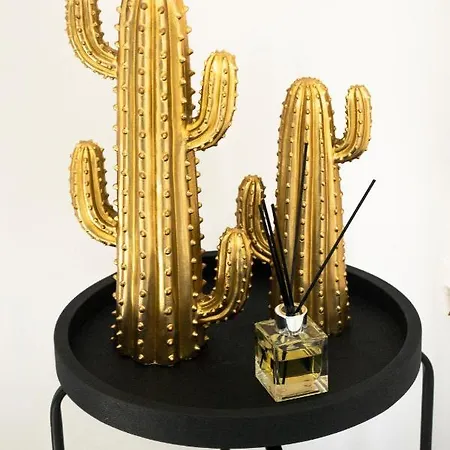 别墅 Dioni Mykonos 帕瑞加