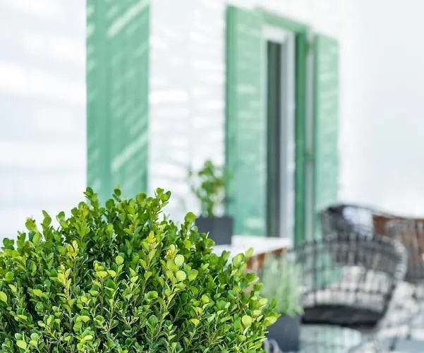 Dioni Mykonos Willa Paraga (Mykonos)