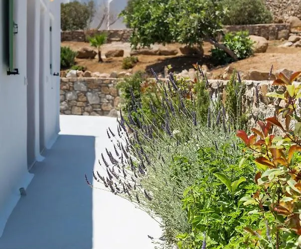 Dioni Mykonos * パラガ