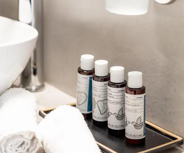 Dioni Mykonos ヴィラ