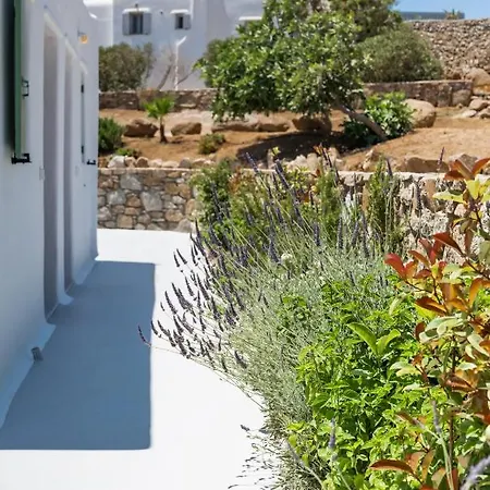 Dioni Mykonos * Strand Paraga